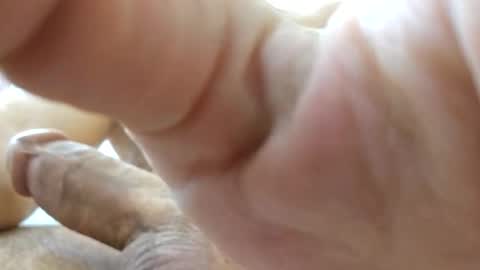 johnnnn2331 online show from 18, 11, 2025