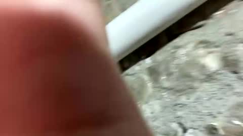 Snapshot of johnny_deep_420 chatting on 21, 1, 2025 Johnny online show from 21, 1, 2025