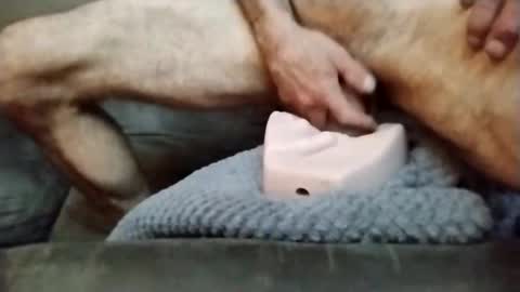 jojomojo648497 online show from 15, 5, 2026