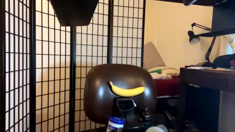 jondoe3657 online show from 23, 1, 2025