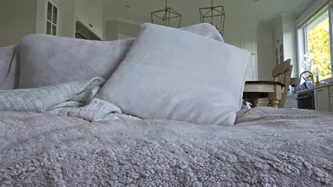 Snapshot of jonesy420xoo chatting on 8, 10, 2025 jonesy420xoo online show from 8, 10, 2025