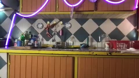 Jony Marta GMT 2000-0100 every day online show from 19, 11, 2025