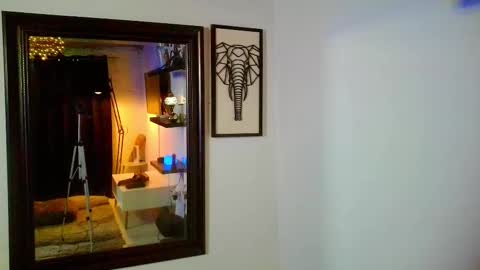 Jose Meireles online show from 1, 2, 2025