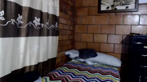 joseph online show from 22, 10, 2025