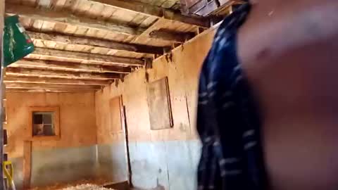 Snapshot of joshnewman540 chatting on 14, 9, 2025 joshnewman540 online show from 14, 9, 2025