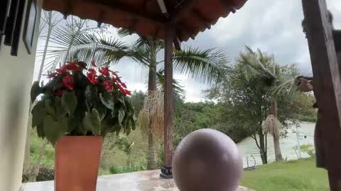 Snapshot of joulianogreco1 chatting on 15, 11, 2025 Im Jouliano online show from 15, 11, 2025