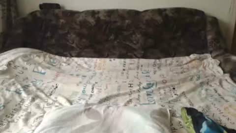 Snapshot of joy4women chatting on 12, 9, 2025 joy4women online show from 12, 9, 2025