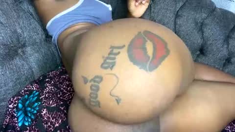 Butterflyass online show from 16, 2, 2026