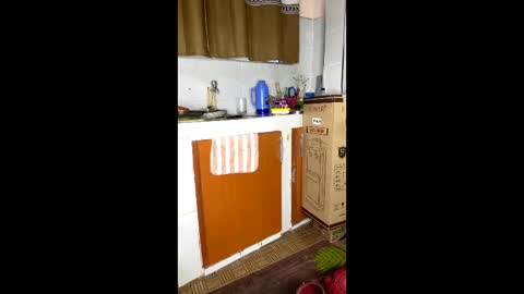 Butterflyass online show from 24, 2, 2026