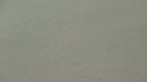 jschtb online show from 28, 9, 2025