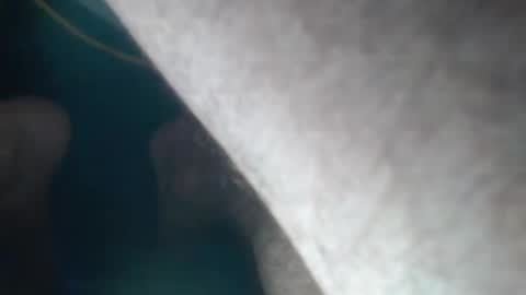 FreshNess online show from 23, 9, 2025