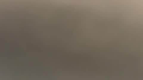 Snapshot of jstagy21 chatting on 4, 12, 2025 LkscumAr online show from 4, 12, 2025