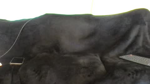 juanmamestre94 online show from 7, 10, 2025