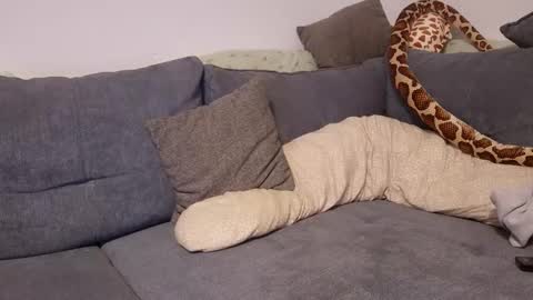 julia_official online show from 11, 11, 2025