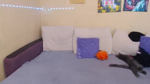 Snapshot of juliasane_ chatting on 12, 9, 2025 Jul online show from 12, 9, 2025