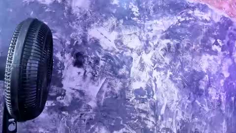 julietakane online show from 15, 3, 2026