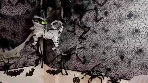 Julietta Jackson online show from 9, 10, 2025