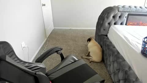 Snapshot of july_and_erick chatting on 16, 9, 2025 july online show from 16, 9, 2025