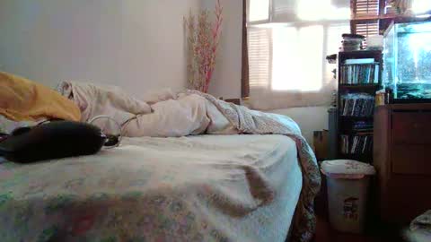 jumpingflash online show from 2, 12, 2024