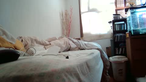 jumpingflash online show from 2, 12, 2024