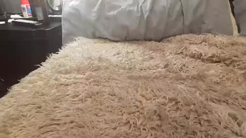 Jusme6269 online show from 8, 1, 2025