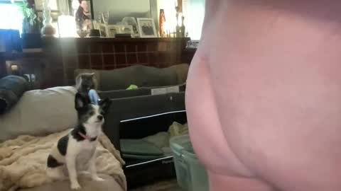 Flirty influncer online show from 10, 2, 2026