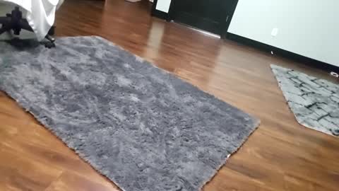 Tohiptwoquit online show from 15, 1, 2026