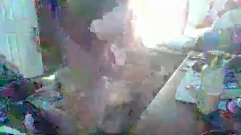 Snapshot of justintyme911128278 chatting on 19, 3, 2026 justintyme911128278 online show from 19, 3, 2026