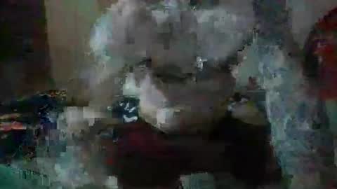 justjay222222222 online show from 7, 4, 2026