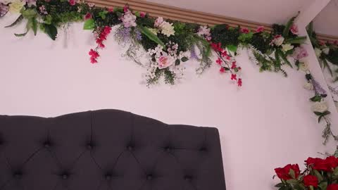 Nala online show from 3, 3, 2026