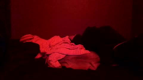 Call me Just online show from 8, 3, 2025