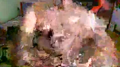 juteja online show from 16, 9, 2025