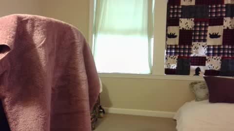 Wolf online show from 1, 3, 2025