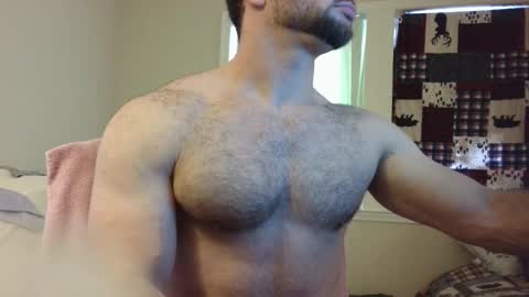 Wolf online show from 7, 3, 2025