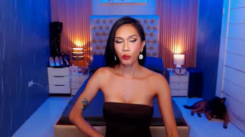 Jynx online show from 15, 11, 2025