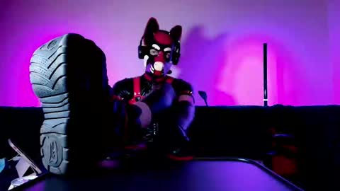 Alex online show from 1, 3, 2026