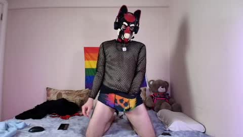 Snapshot of k9_goodboy chatting on 9, 4, 2026 Alex online show from 9, 4, 2026