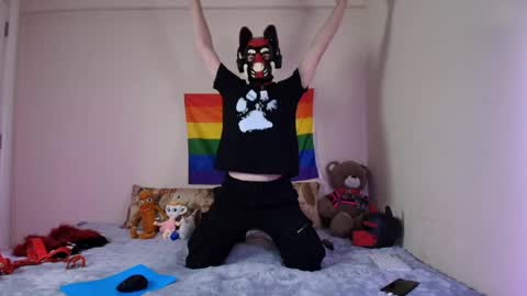 Snapshot of k9_goodboy chatting on 15, 4, 2026 Alex online show from 15, 4, 2026