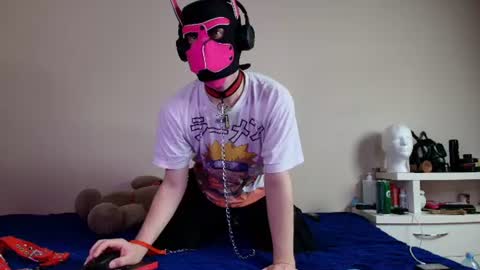 Snapshot of k9_goodboy chatting on 12, 6, 2026 Alex online show from 12, 6, 2026