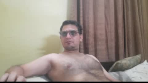 k9cat online show from 4, 4, 2026