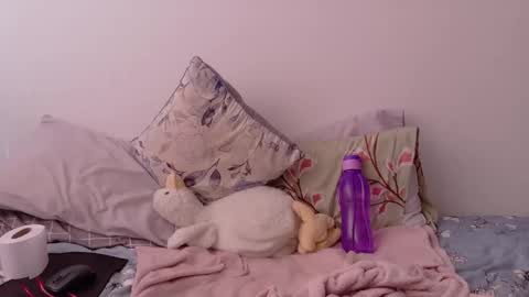 Kanela online show from 5, 2, 2026