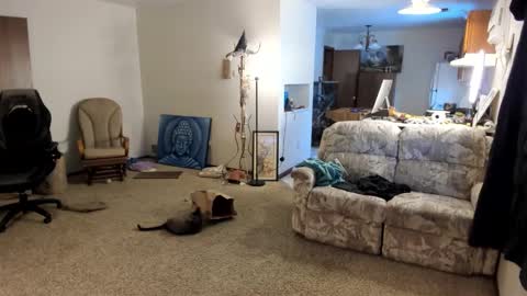 Kaiku77 online show from 5, 1, 2026