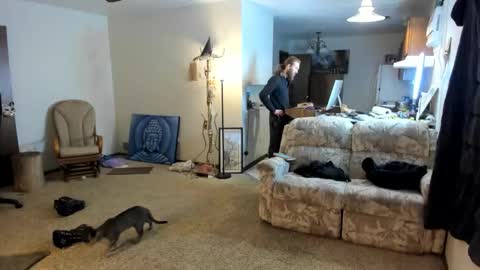 Kaiku77 online show from 6, 1, 2026