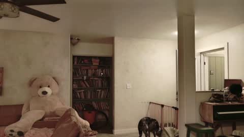 Kailee Smile online show from 27, 11, 2025