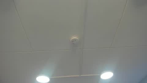 Kai Rose  online show from 17, 12, 2025