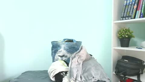 kaory_azumi online show from 25, 5, 2026