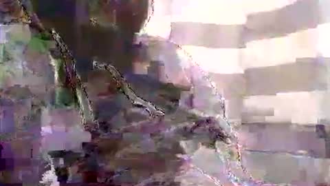 Snapshot of karnyx3 chatting on 1, 1, 2025 Karlos Montoya online show from 1, 1, 2025