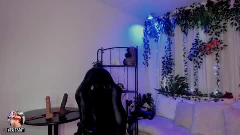  karol  online show from 30, 4, 2026