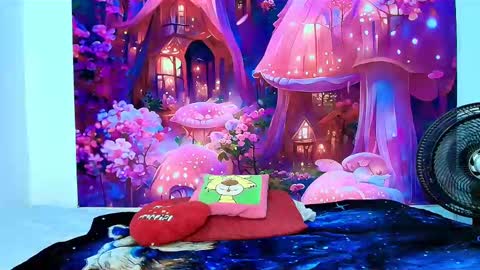    online show from 31, 10, 2025