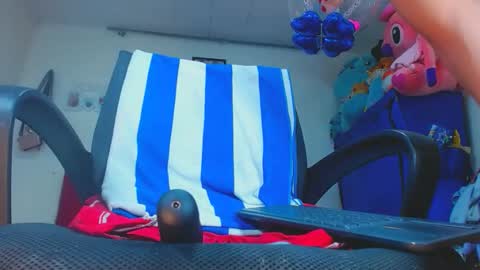 karol online show from 1, 3, 2025